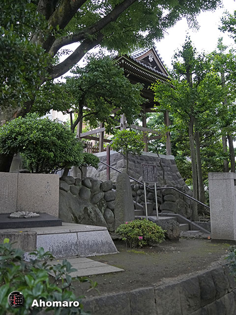 写真00