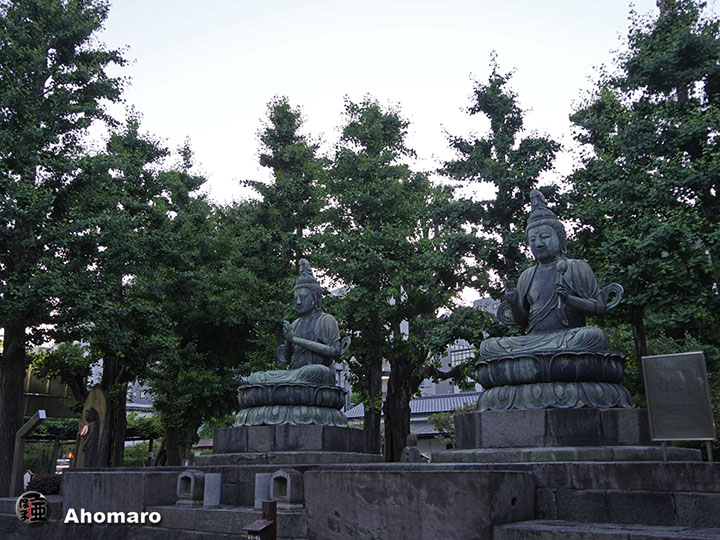 写真00