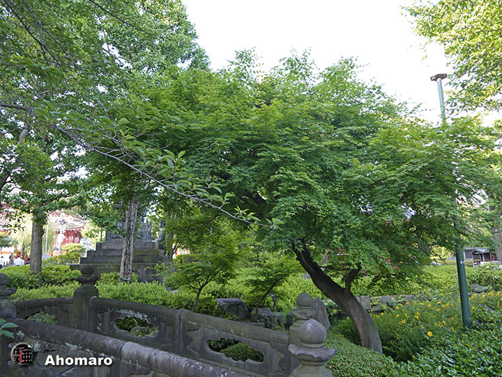 写真00
