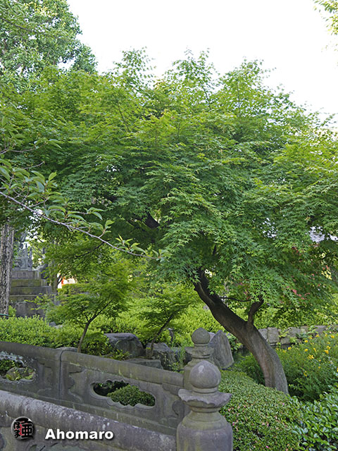 写真00