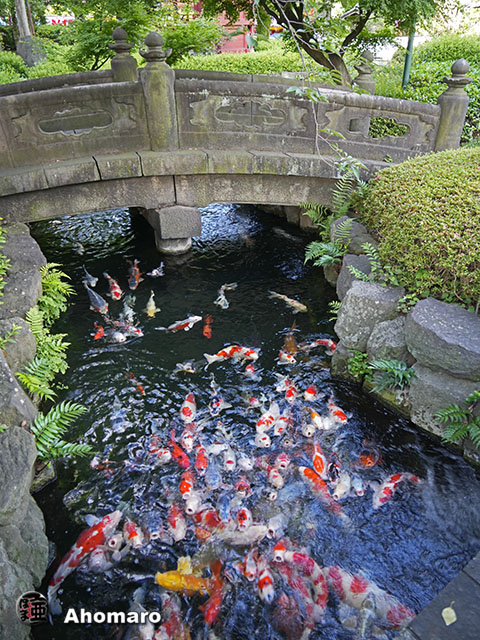 写真00