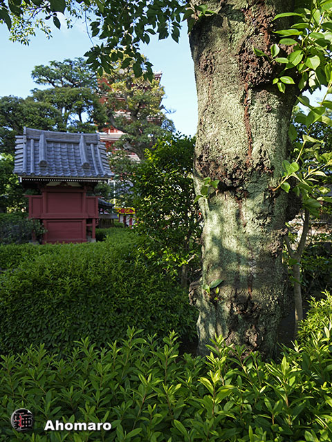 写真00