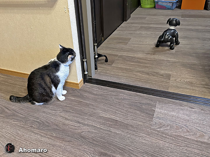 ʐ^00