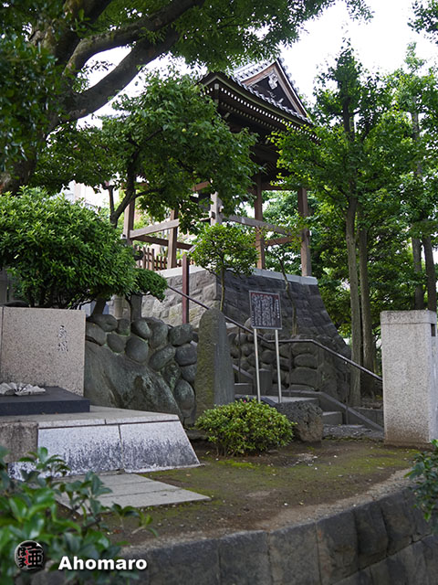 写真00