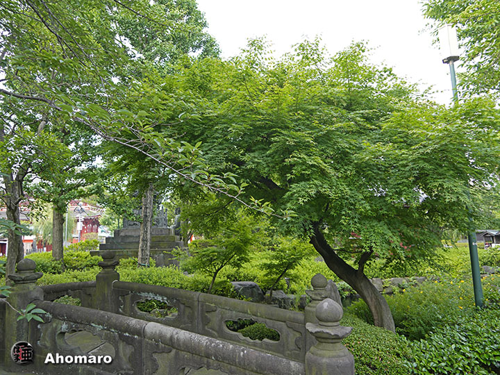 写真00