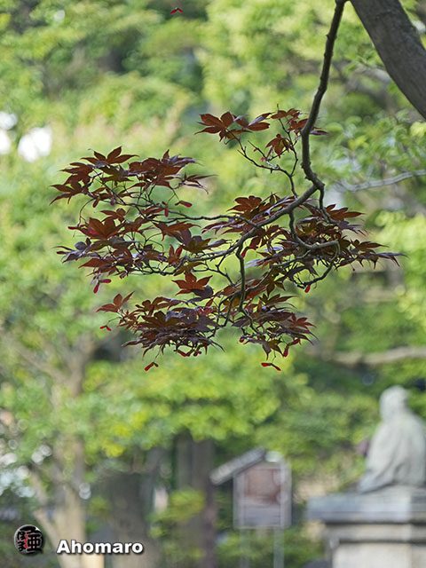 写真00