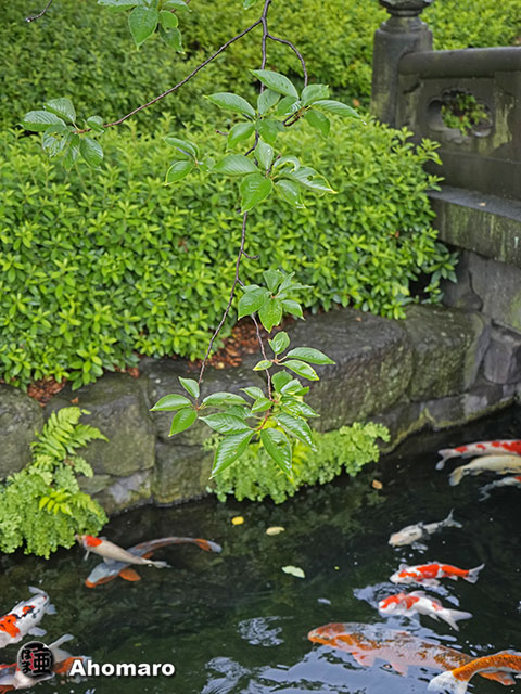 写真00