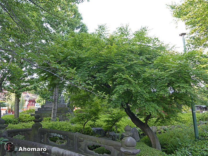 写真00