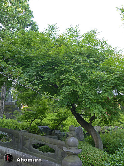 写真00