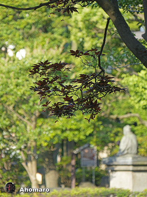 写真00