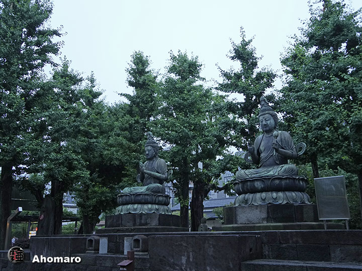 写真00