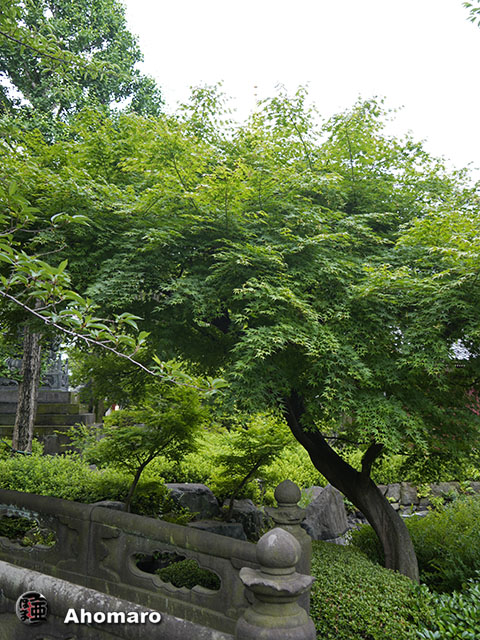 写真00
