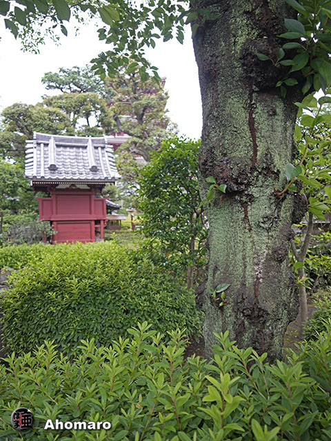 写真00