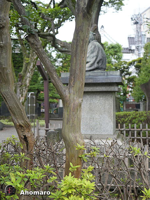 写真00