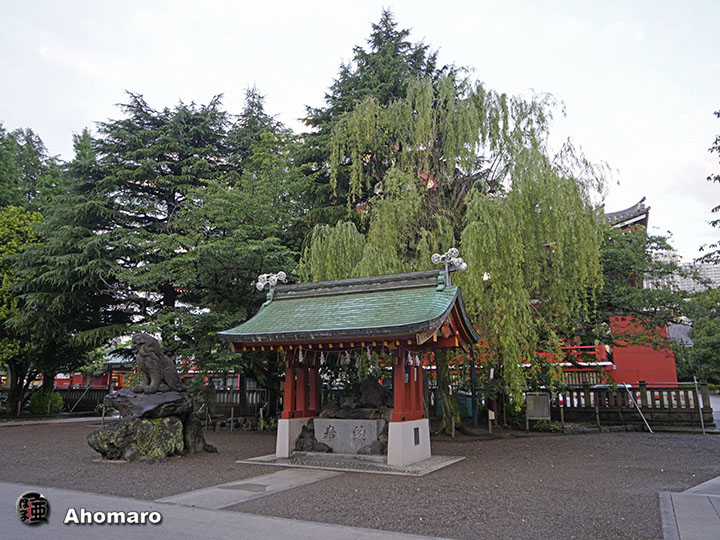 写真00