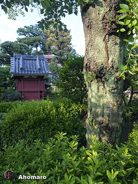 写真00