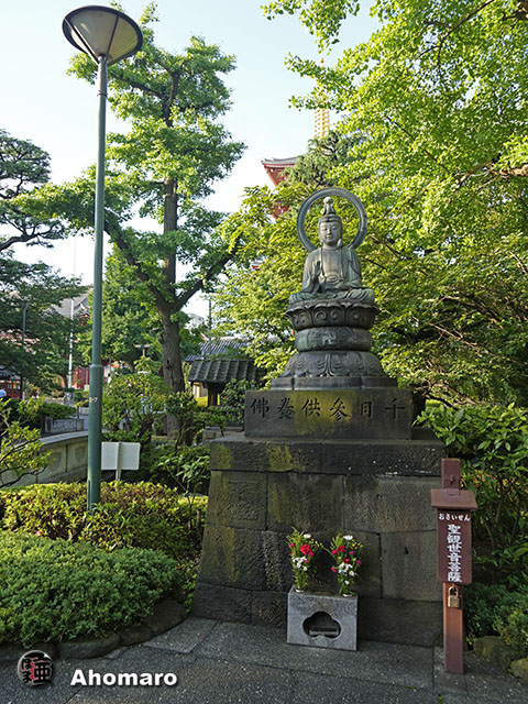 写真00