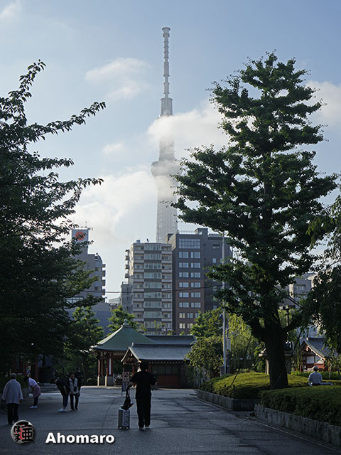 写真00