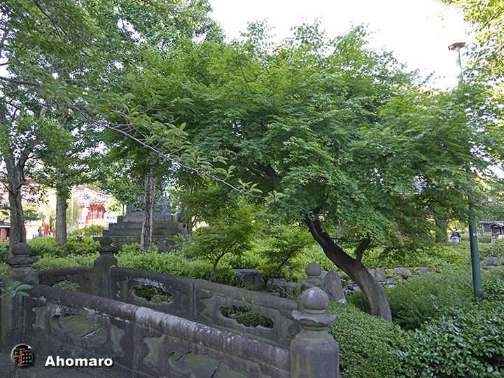 写真00