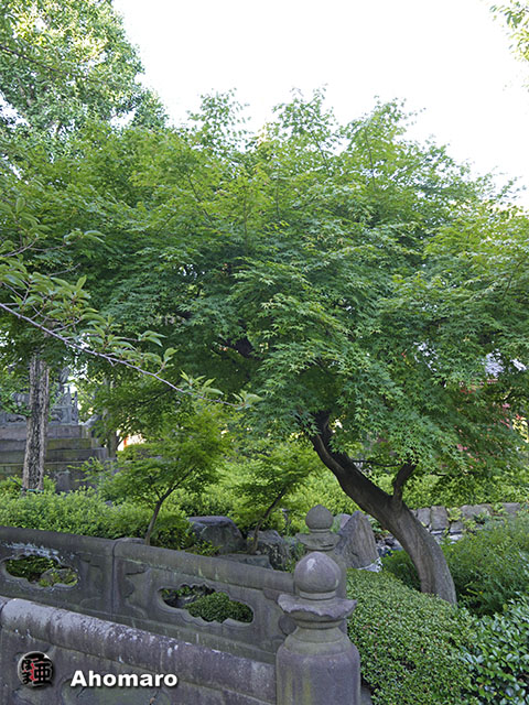 写真00