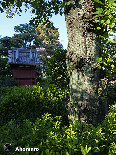 写真00
