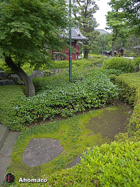 写真00