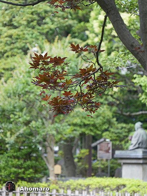 写真00