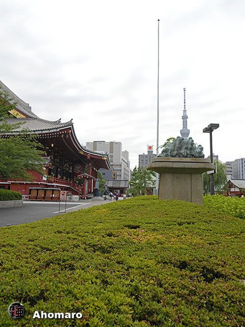 写真00