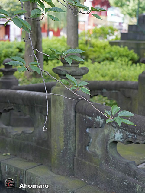 写真00