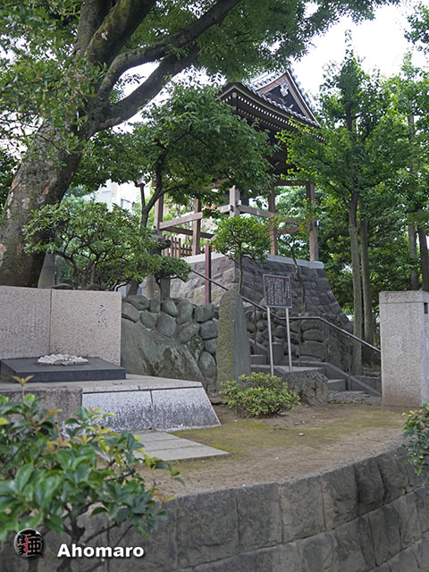 写真00