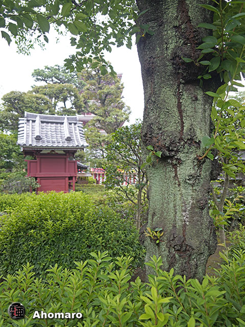 写真00