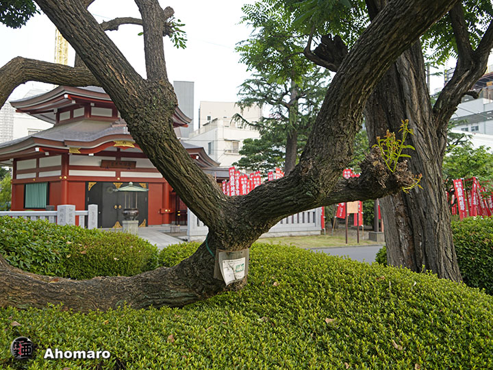 写真00