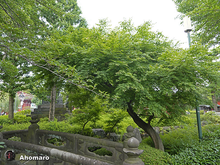 写真00