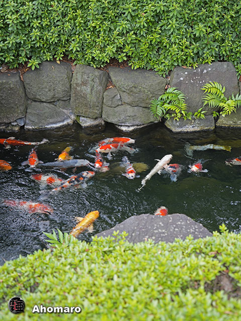 写真00