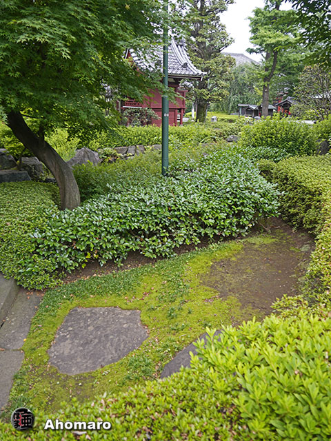写真00