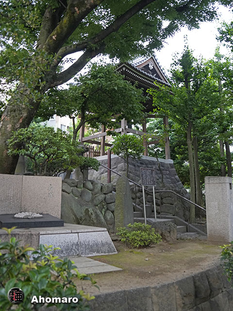 写真00