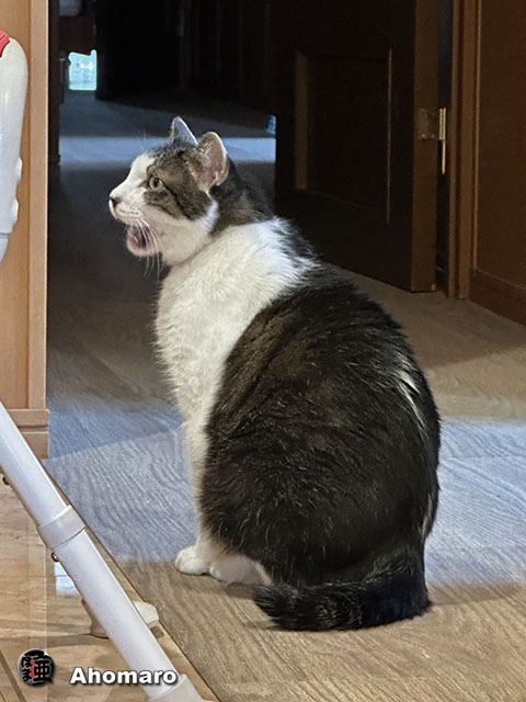 ʐ^00