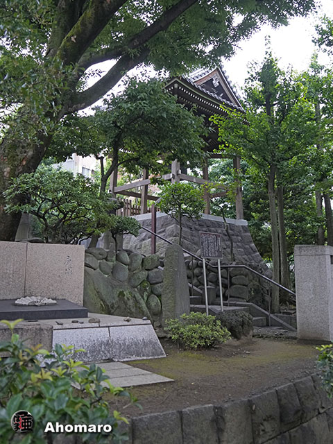 写真00