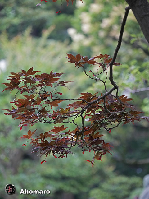 写真00