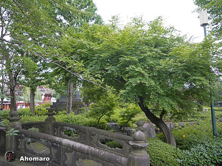 写真00