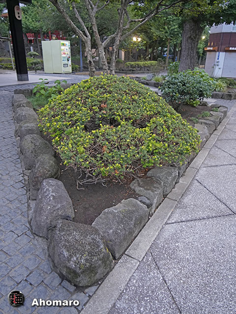 写真00