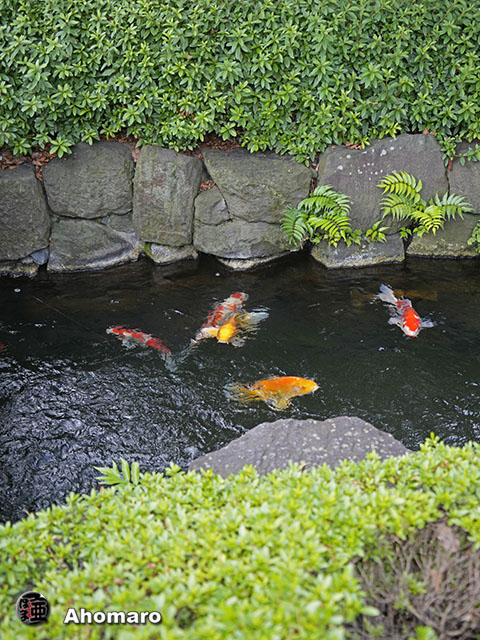 写真00