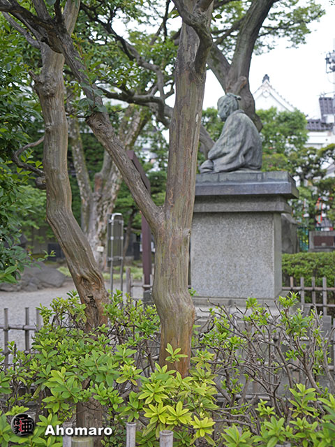 写真00