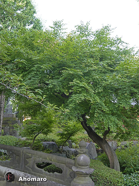 写真00