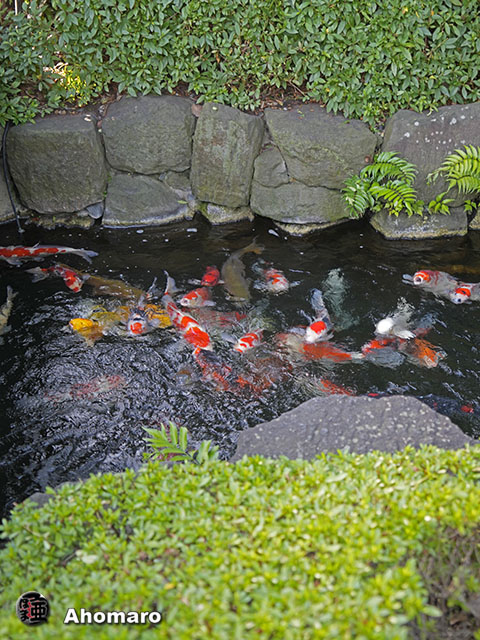 写真00