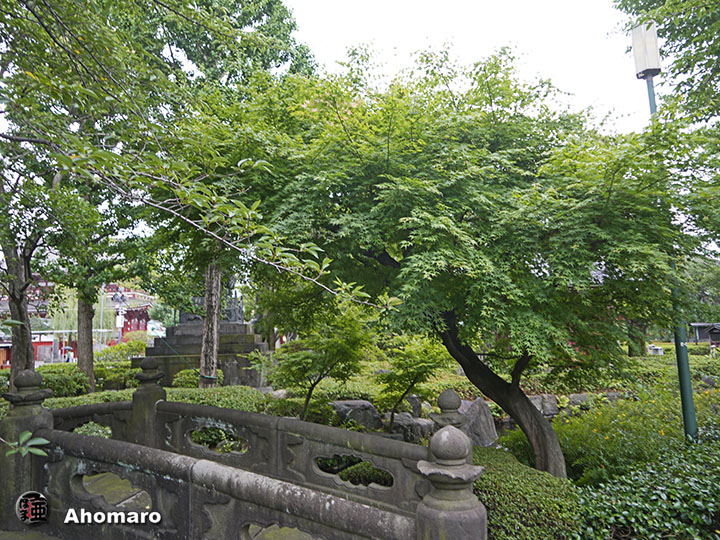 写真00