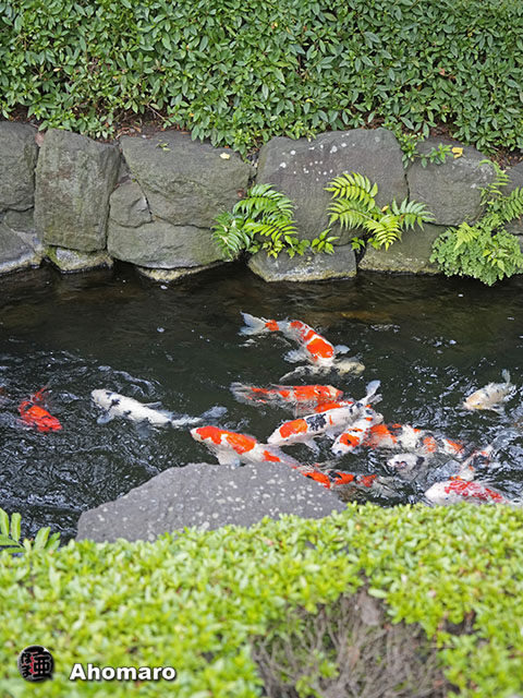 写真00
