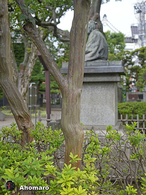 写真00