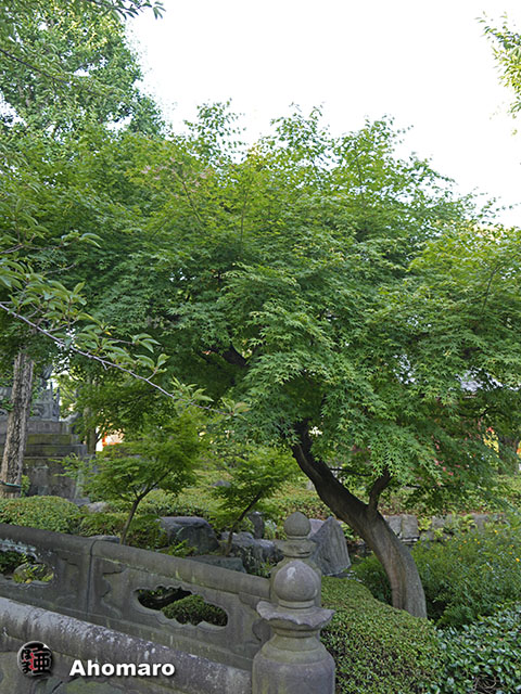 写真00