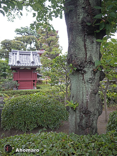 写真00